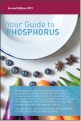 Phosphorus Food Guide