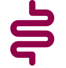 GI tract icon
